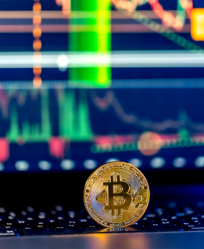 Volinatrex Trading Informationen